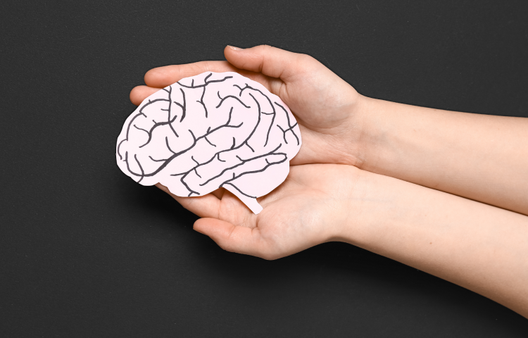 a pair of hands cupped holding a drawing of a brain on a plain black background